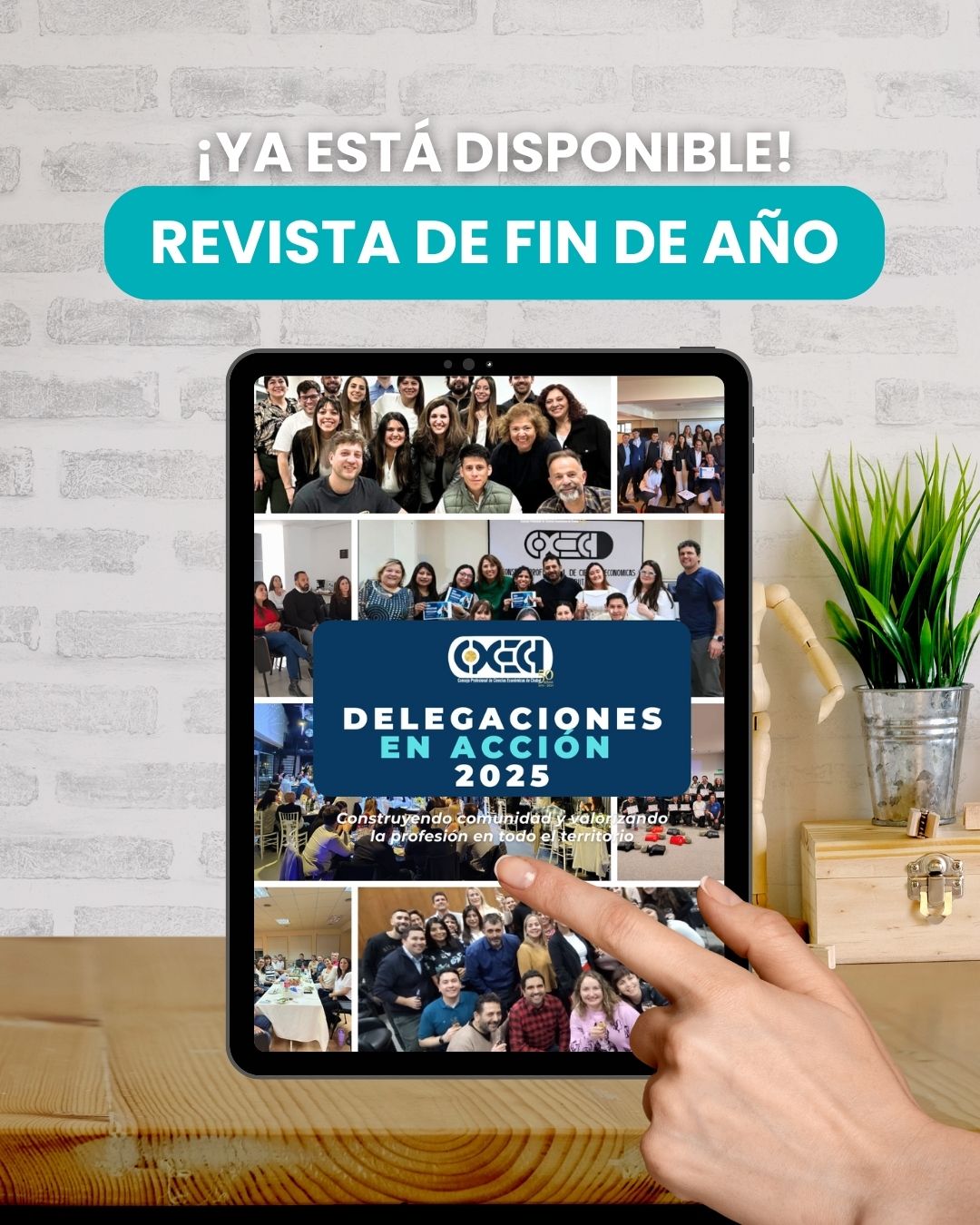 Revista de fin de año 2025